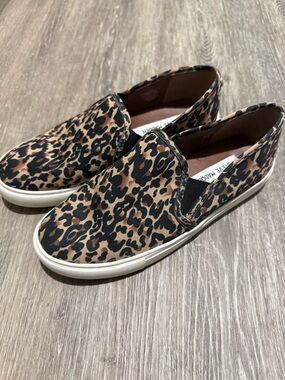 Good condition Steve Madden sneaks